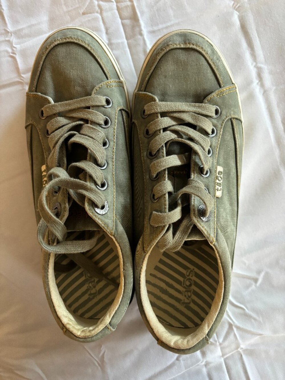 TAOS Green Canvas Lace Up Sneakers Women's Size 6.5
